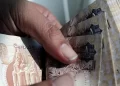 الجنيه المصري