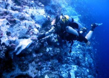 غواص يتابع تلفيات الشعب المرجانية بموقع الحادث