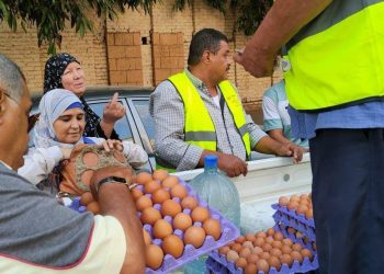 بيض المائدة- صورة أرشيفية