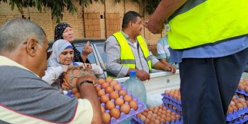 بيض المائدة- صورة أرشيفية