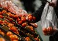 ارتفاع التضخم في المدن المصرية