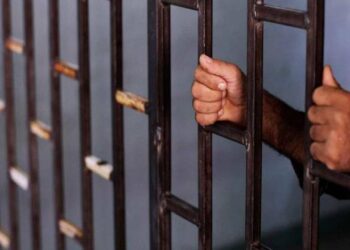 السجن المؤبد للمتهم في واقعة طفل البحيرة