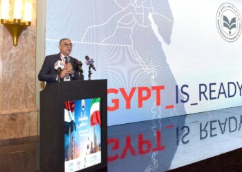 حسام هيبة الرئيس التنفيذي للهيئة العامة للاستثمار