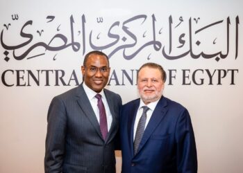 لقاء محافظ البنك المركزي المصري بنائب المدير العام لصندوق النقد الدولي
