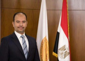 عبد العزيز نصير المدير التنفيذي للمعهد المصرفي المصري