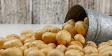 صادرات البطاطس المصرية