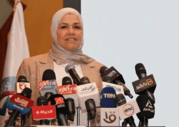 رشا عبد العال رئيس مصلحة الضرائب المصرية