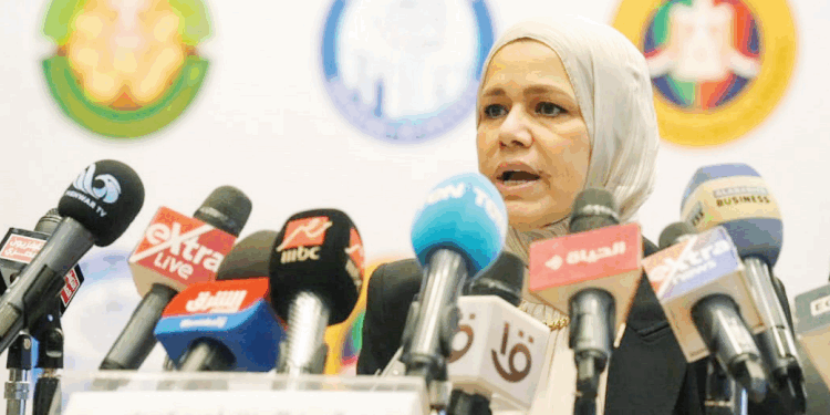 رشا عبد العال، رئيس مصلحة الضرائب المصرية