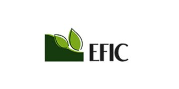 شركة EFIC