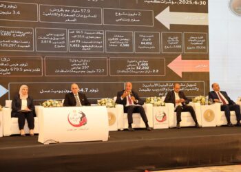 جانب من مؤتمر المصريين في الخارج