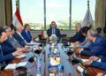 تنفيذ مستودع استراتيجي للحبوب بالسويس