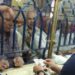 مطالب بطرح منتجات ادخارية عادلة