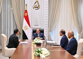 «السيسي» يوجه بتعزيز الانضباط المالي