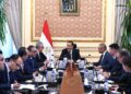 «مدبولي» يلتقي رئيس «إيليت سولار» الصينية