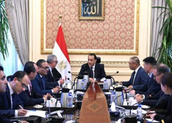«مدبولي» يلتقي رئيس «إيليت سولار» الصينية