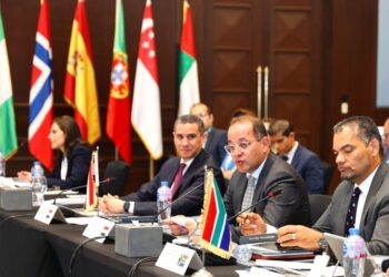 وزير المالية خلال اجتماع مجموعة العشرين في القاهرة
