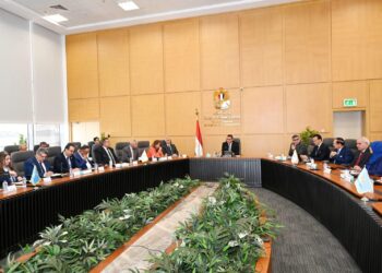 وزير الإسكان خلال اجتماع المجلس المصري للبناء الأخضر