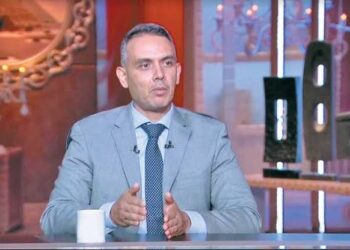 هاني جنينة الخبير الاقتصادي