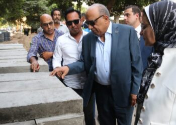 الدكتور محمود عصمت خلال الجولة
