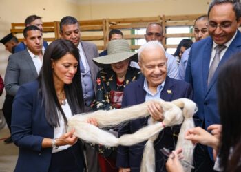 جانب من الجولة التفقدية