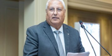 سامي عبد الصادق، نائب الرئيس التنفيذي للأعمال