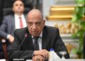 الدكتور محمود عصمت، وزير الكهرباء