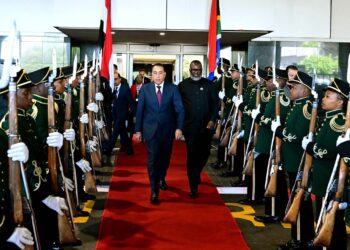 رئيس الوزراء يصل جوهانسبرج