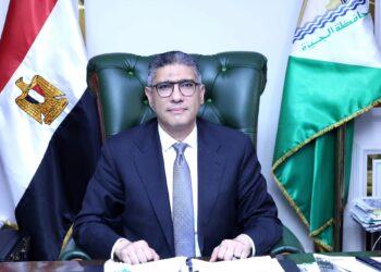 المهندس عادل النجار محافظ الجيزة