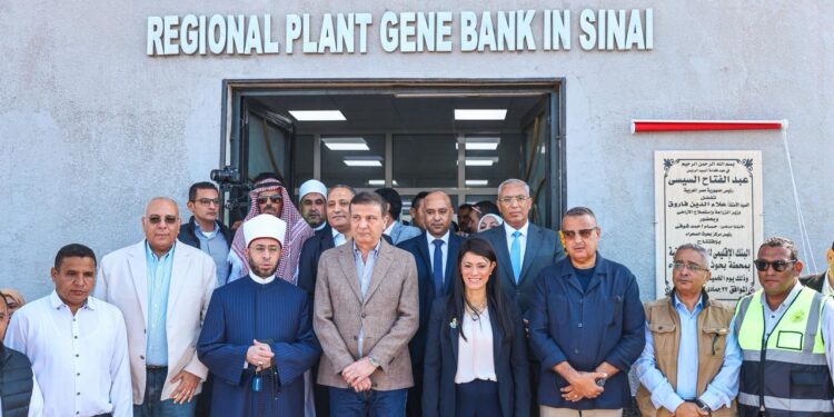 جانب من المبادرة