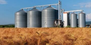 تخزين وتوزيع الحبوب