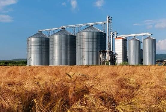 تخزين وتوزيع الحبوب