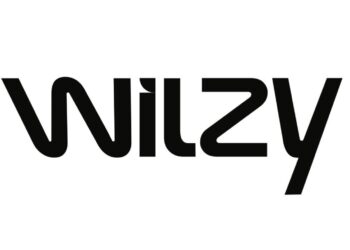 شركة ويلزي المالية