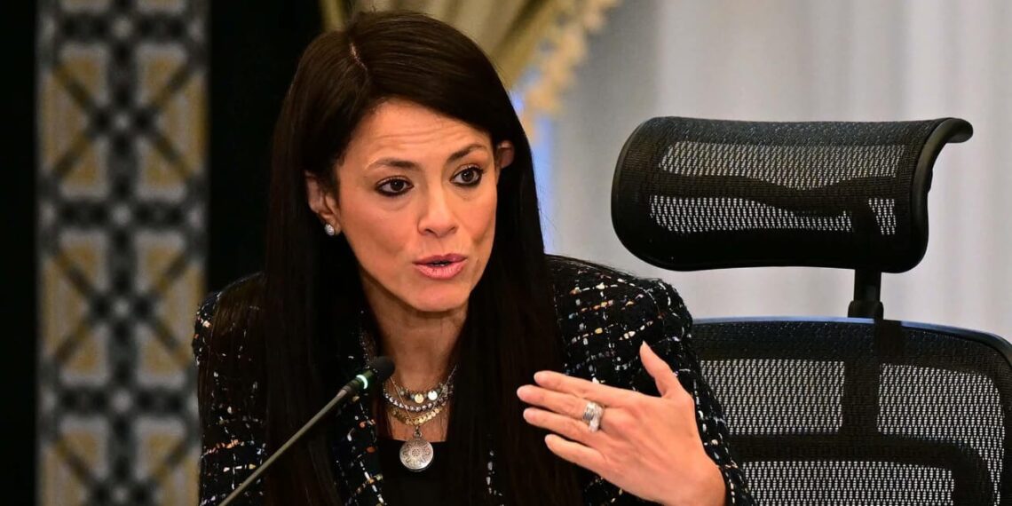 رانيا المشاط، وزيرة التخطيط