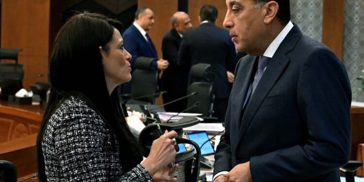 المشاط: انخفاض شهري وسنوي في التضخم بدعم من تراجع أسعار الغذاء يفوق 15%