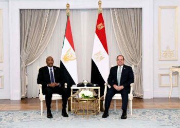 جانب من لقاء السيسي