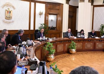 جانب من لقاء رئيس الوزراء