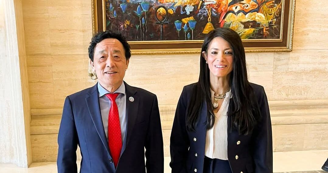 المشاط تبحث مع الفاو تعزيز الأمن الغذائي وتفعيل الأكاديمية الإقليمية للقيادة