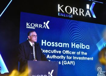 حسام هيبة، الرئيس التنفيذي للهيئة العامة للاستثمار والمناطق الحرة