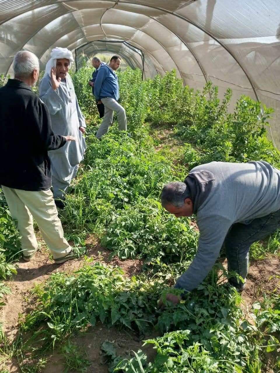 جانب من الجولة