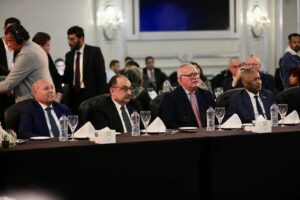 وزير قطاع الأعمال العام