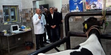 جانب من جولة رئيس الوزراء