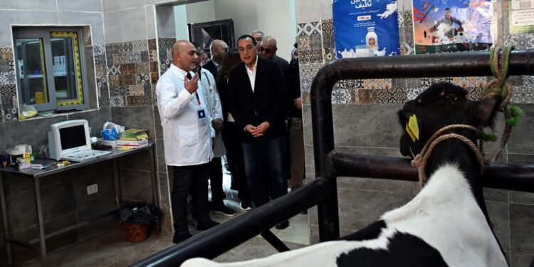 جانب من جولة رئيس الوزراء