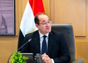 وزير المالية