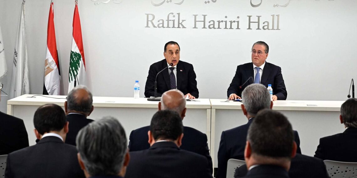 جانب من لقاء رئيس الوزراء