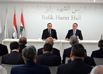 جانب من لقاء رئيس الوزراء