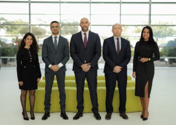 قطاع المخاطر بمجموعة إي اف چي القابضة: