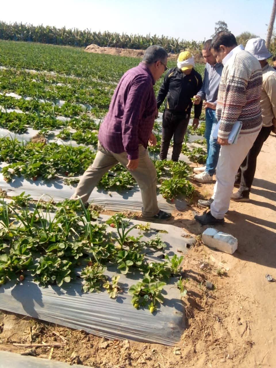 جانب من الجولة