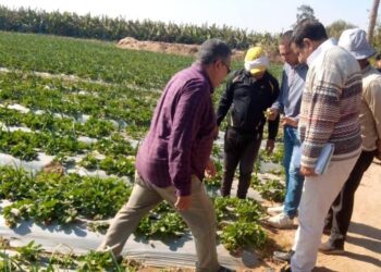 جانب من الجولة