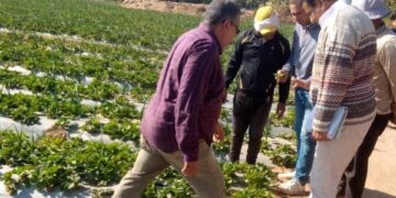 جانب من الجولة