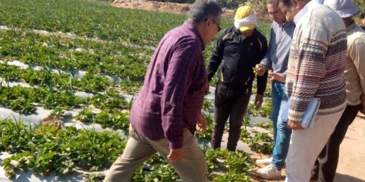 جانب من الجولة